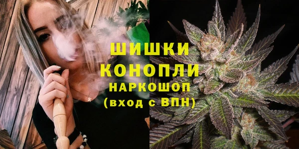 трава Арсеньев