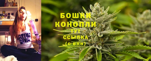 трава Арсеньев