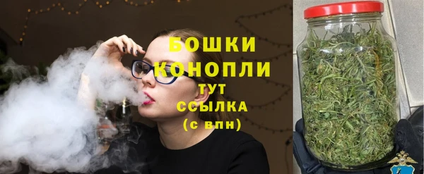 трава Арсеньев